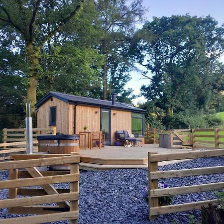 Llanymawddwy Ty Nant Gwenyn 빌라 외부 사진