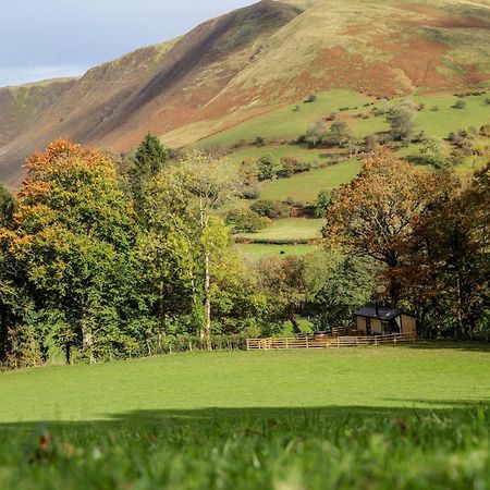Llanymawddwy Ty Nant Gwenyn 빌라 외부 사진