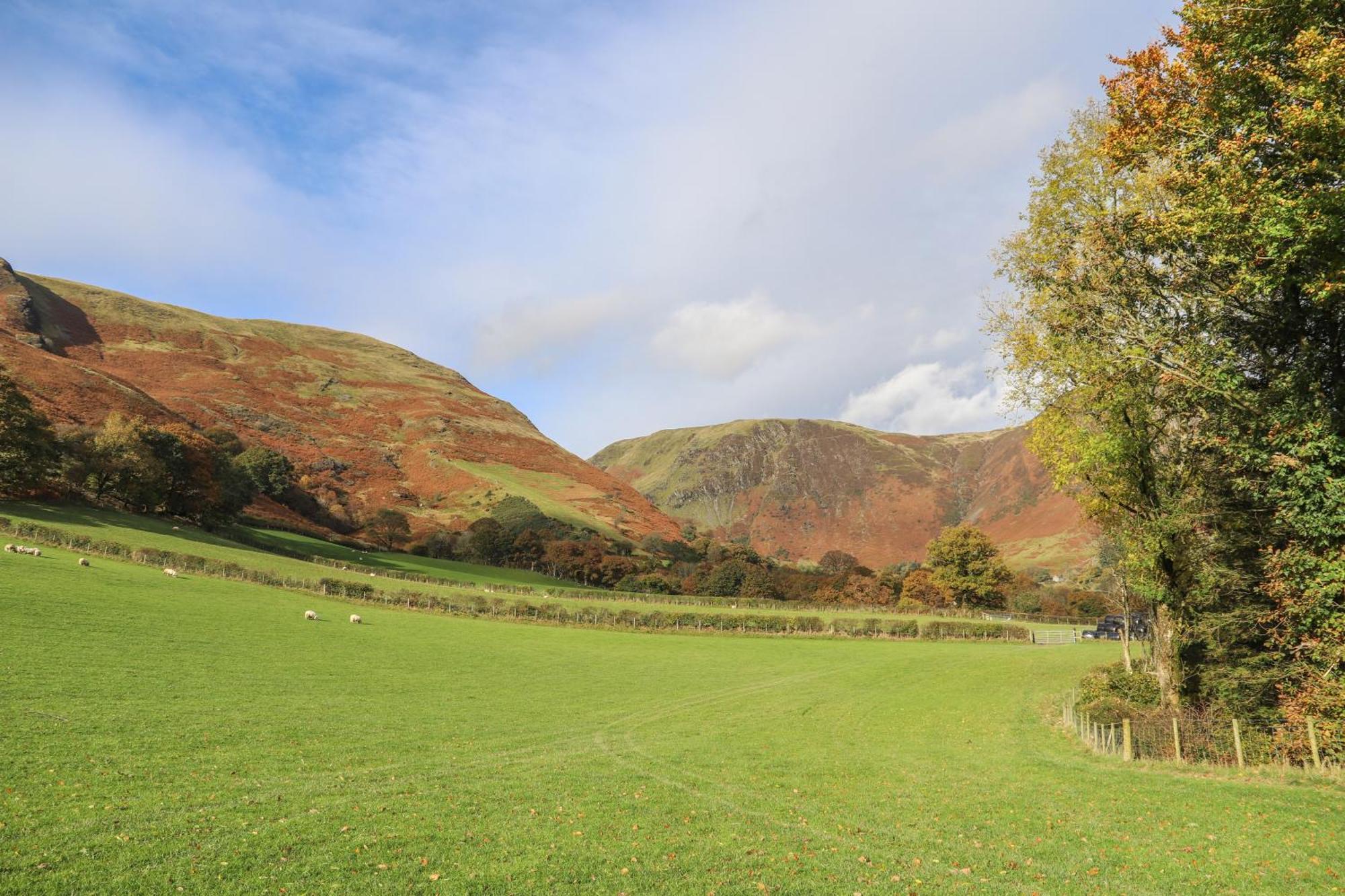 Llanymawddwy Ty Nant Gwenyn 빌라 외부 사진